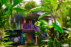 Hidden Jungle Beach House & Casita Azul