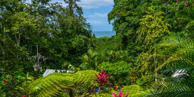 Punta Uva Villas Puerto Viejo Costa Rica