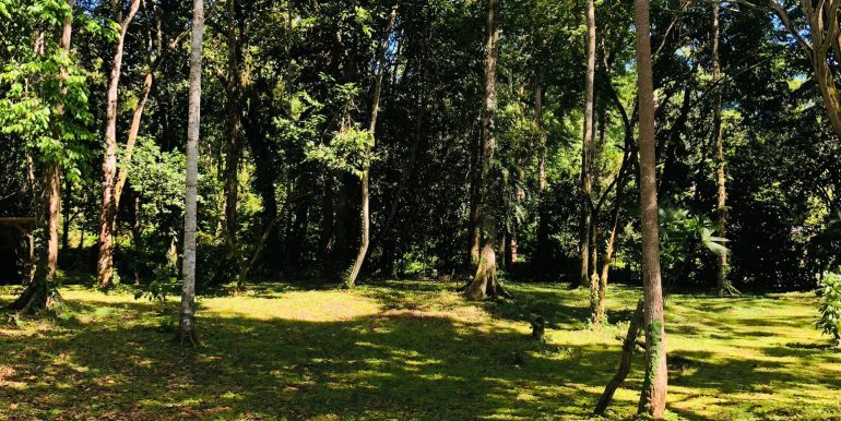 Lot in Cahuita for Sale