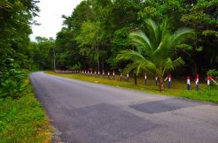 Punta Uva
